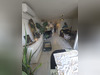Ma-Cabane - Vente Appartement Canet en Roussillon, 56 m²