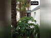Ma-Cabane - Vente Appartement Castelnau-le-Lez, 42 m²