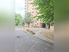 Ma-Cabane - Vente Appartement Champs-sur-Marne, 80 m²