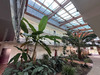 Ma-Cabane - Vente Appartement CHATEAU-GONTIER, 46 m²