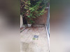 Ma-Cabane - Vente Appartement CHEVREUSE, 38 m²