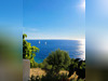 Ma-Cabane - Vente Appartement CONCA, 25 m²