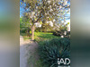 Ma-Cabane - Vente Appartement Dannemois, 24 m²