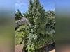 Ma-Cabane - Vente Appartement Dax, 23 m²