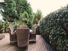 Ma-Cabane - Vente Appartement Dinard, 50 m²