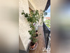 Ma-Cabane - Vente Appartement Drancy, 40 m²