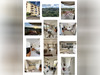 Ma-Cabane - Vente Appartement Fort-de-France, 60 m²