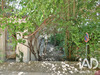 Ma-Cabane - Vente Appartement Ganges, 100 m²