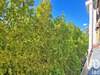 Ma-Cabane - Vente Appartement Grenoble, 65 m²