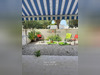 Ma-Cabane - Vente Appartement GRUISSAN, 37 m²