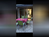 Ma-Cabane - Vente Appartement La Londe-les-Maures, 30 m²