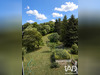 Ma-Cabane - Vente Appartement Labaroche, 45 m²