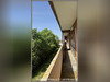 Ma-Cabane - Vente Appartement LANNEMEZAN, 67 m²