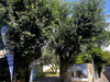 Ma-Cabane - Vente Appartement LATTES, 62 m²