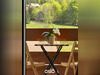 Ma-Cabane - Vente Appartement Les Rousses, 104 m²