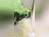 Ma-Cabane - Vente Appartement Lille, 39 m²