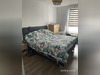 Ma-Cabane - Vente Appartement Lingolsheim, 64 m²
