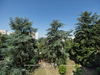 Ma-Cabane - Vente Appartement Lyon, 64 m²