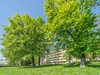 Ma-Cabane - Vente Appartement Lyon, 84 m²