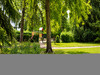 Ma-Cabane - Vente Appartement MARLY-LE-ROI, 52 m²