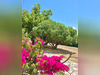 Ma-Cabane - Vente Appartement MARTIGUES, 89 m²