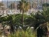 Ma-Cabane - Vente Appartement MAUGUIO, 17 m²
