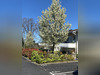 Ma-Cabane - Vente Appartement Montendre, 39 m²