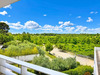 Ma-Cabane - Vente Appartement Montpellier, 65 m²