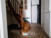 Ma-Cabane - Vente Appartement Morlaix, 123 m²