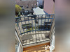 Ma-Cabane - Vente Appartement Mulhouse, 66 m²