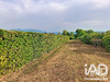 Ma-Cabane - Vente Appartement Nangy, 36 m²