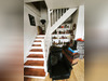Ma-Cabane - Vente Appartement Nantes, 80 m²