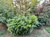 Ma-Cabane - Vente Appartement ORLEANS, 91 m²