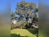 Ma-Cabane - Vente Appartement Oullins, 41 m²