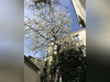 Ma-Cabane - Vente Appartement PARIS 11EME ARRONDISSEMENT, 103 m²