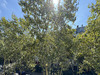 Ma-Cabane - Vente Appartement PARIS 19, 50 m²