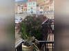 Ma-Cabane - Vente Appartement Port-Vendres, 45 m²