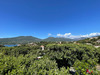 Ma-Cabane - Vente Appartement Propriano, 23 m²