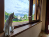 Ma-Cabane - Vente Appartement Reichsfeld, 127 m²