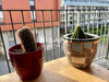 Ma-Cabane - Vente Appartement Rennes, 90 m²