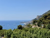 Ma-Cabane - Vente Appartement Roquebrune-Cap-Martin, 77 m²