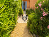 Ma-Cabane - Vente Appartement ROQUEBRUNE-SUR-ARGENS, 22 m²