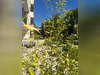 Ma-Cabane - Vente Appartement SAINT-CLOUD, 38 m²