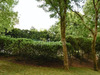 Ma-Cabane - Vente Appartement SAINT CLOUD, 16 m²