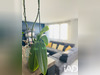 Ma-Cabane - Vente Appartement Saint-Cyr-sur-Loire, 66 m²