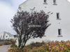 Ma-Cabane - Vente Appartement SAINT-GILDAS-DE-RHUYS, 26 m²
