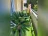 Ma-Cabane - Vente Appartement SAINT JEAN D ANGELY, 49 m²