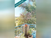 Ma-Cabane - Vente Appartement Saint-Macaire, 49 m²