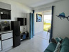 Ma-Cabane - Vente Appartement SAINT MARTIN, 36 m²