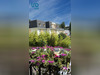Ma-Cabane - Vente Appartement Saint-Maurice, 53 m²